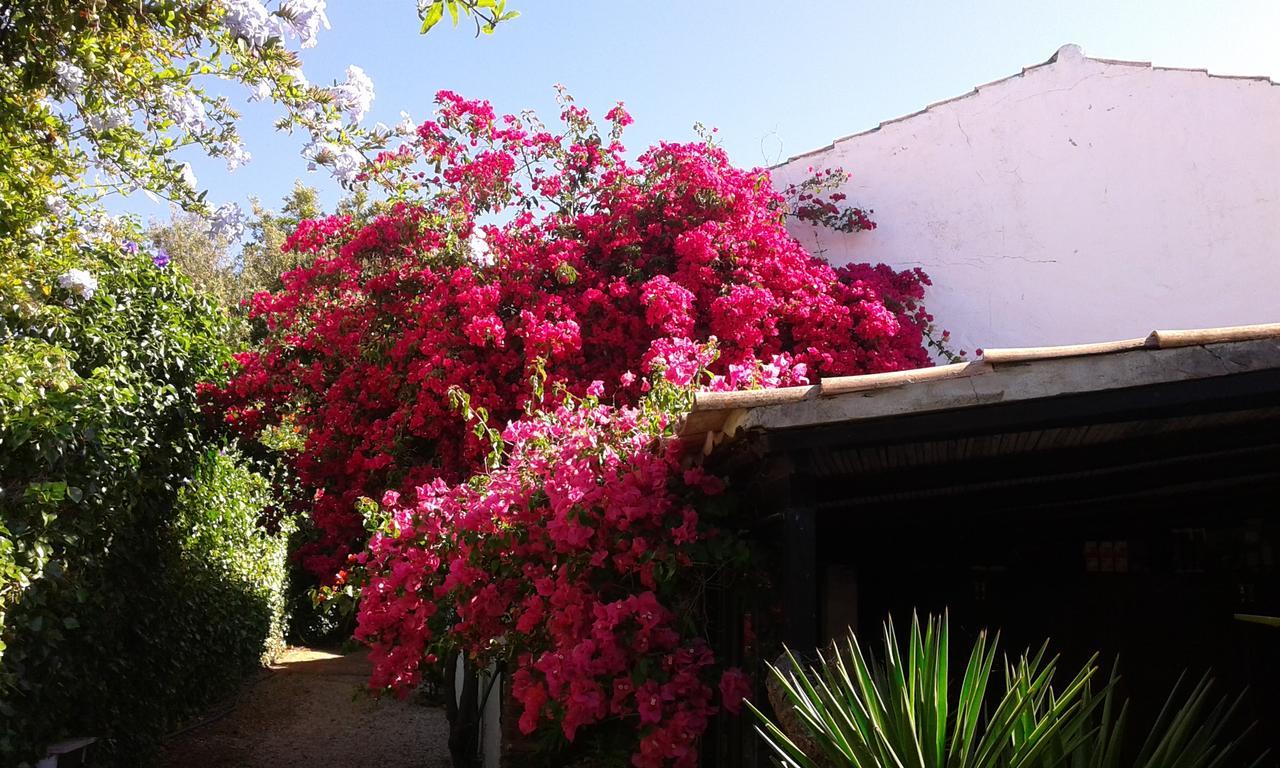 Quinta Das Flores Villa Albufeira Kültér fotó
